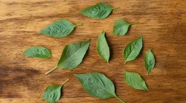 garnishing-instructions-image